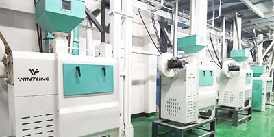 Corn Processing Equipment