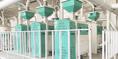 Bean Processing Equipment