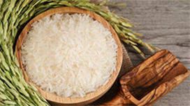 Rice Processing Equipment